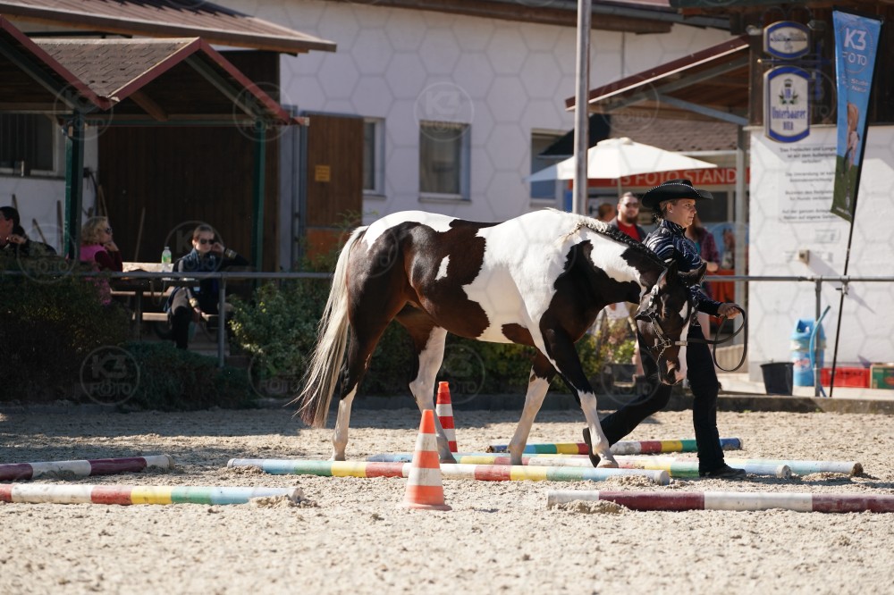 s_A_907509.JPG